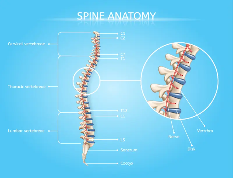 types of cervical spine surgery